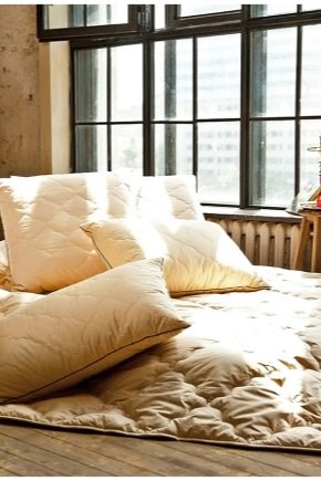  Camel wool cushions