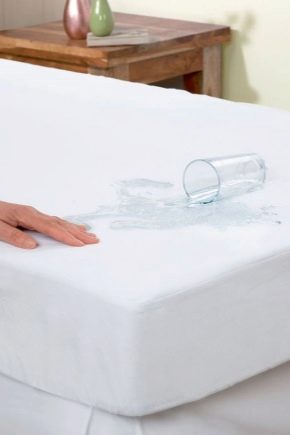  Mattress Waterproof Cover