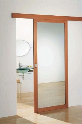 Verrassend Schuifdeuren naar de badkamer (37 foto's): hoe compartiment deuren EE-64