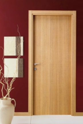  Veneered doors: the pros and cons