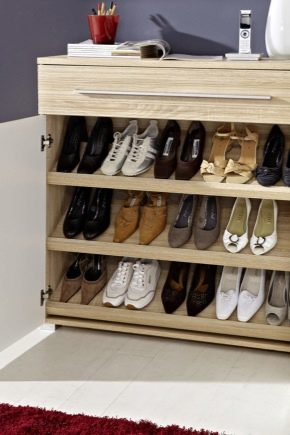  Dulapuri de pantofi în hol: un detaliu important în interior