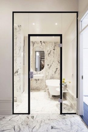  Choosing a glass door