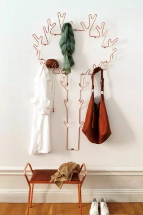  Metal wall hangers in the hall: features of choice