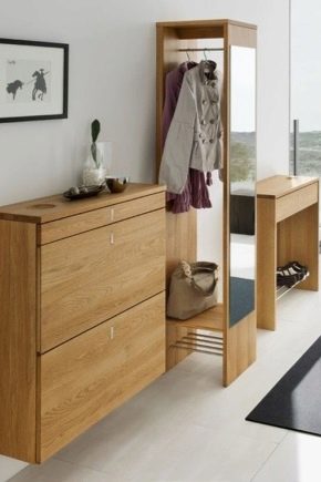  Original chest and drawers in the hallway