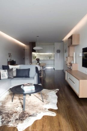  Variantes e características de remodelação apartamento de um quarto