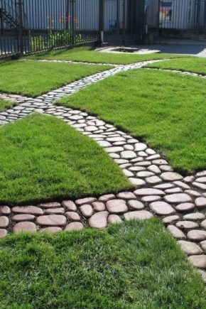  Pista en el país con sus propias manos a partir de materiales de desecho.