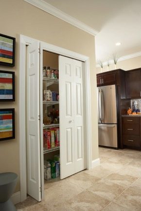  Doors to the pantry: standard and non-standard options