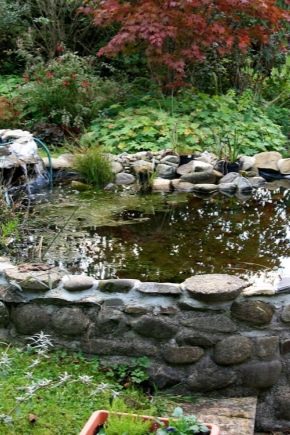  How to make a pond in the country with their own hands?