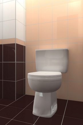  بلاط الأرضيات للمرحاض: ميزات الاختيار