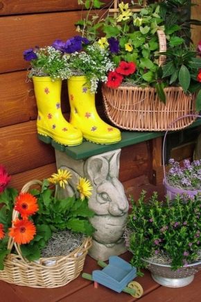  Vi gör vackra blomsterbäddar av stauder i landet med egna händer