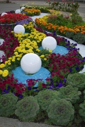  Features of the design of flower beds and flowerbeds of continuous flowering with their own hands