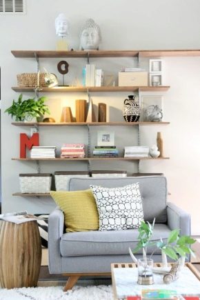  Shelves in the living room: modern design and practicality