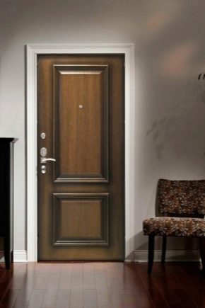  Choosing doors Torex