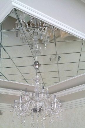  Spiegelplafond in interieur