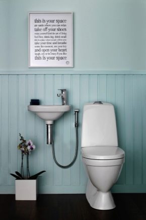  Grohe hygienisk dusch på toaletten: fördelar och nackdelar
