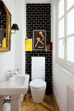  بلاط في المرحاض: أفكار التصميم