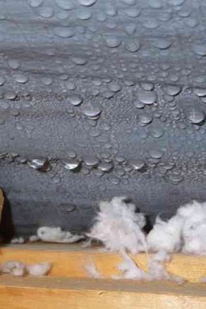  Condensat sur le toit en métal: causes et méthodes d'élimination