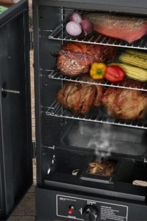  Smokehouse de la frigider: aduceți idei originale la viață