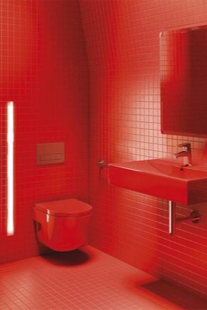  Червена тоалетна: видове и идеи за дизайн