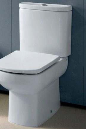  „Roca“ tualeto sėdynių dangteliai: pasirinkimas iš įvairių asortimentų