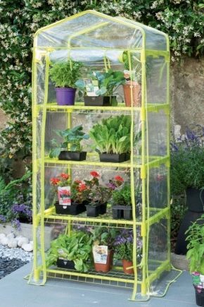  Mini-greenhouses: options and features of the device