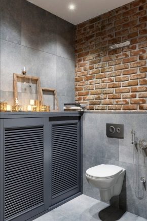 Funktioner av designen av toaletter i stil med loft