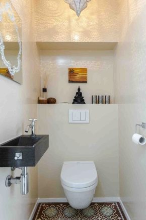  ชั้นวางของในห้องน้ำหลังห้องน้ำ: แนวคิดการออกแบบดั้งเดิม