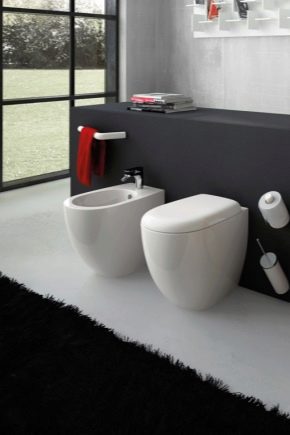  Επισυνάπτονται τουαλέτες: χαρακτηριστικά και δημοφιλή μοντέλα