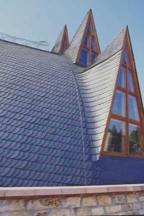  Leien dak: kenmerken van elite materialen voor dakbedekking