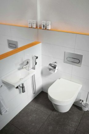  Vòi rửa có vòi sen vệ sinh: tính năng và thông số kỹ thuật