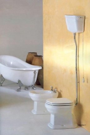  Toaletter med høy sistern: funksjoner av valg