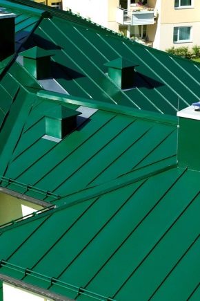  Kietųjų stogų tipai ir jo pasirinkimo taisyklės gyvenamajam pastatui