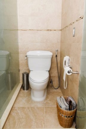  Wymiana toalety: szczegóły procesu