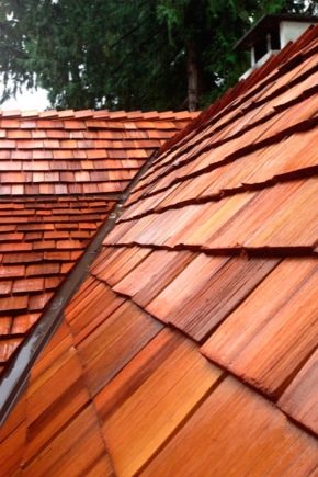  Shingles for roofing: what it is, features and characteristics