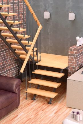  Sản xuất cầu thang can thiệp cho các khu nhà: các sắc thái xây dựng và các ví dụ đẹp