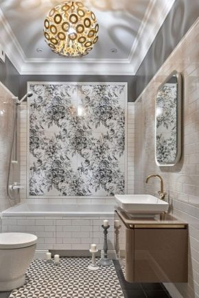  How to choose a panel from the tile in the bathroom?