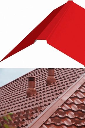  Ridge for roofs: types, purpose and installation