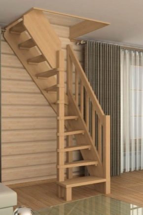 Escalera: lo que se necesita y debe ser un portal para las escaleras al segundo piso en una casa