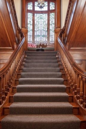  Tölgy lépcsők: építési jellemzők és kiválasztási kritériumok