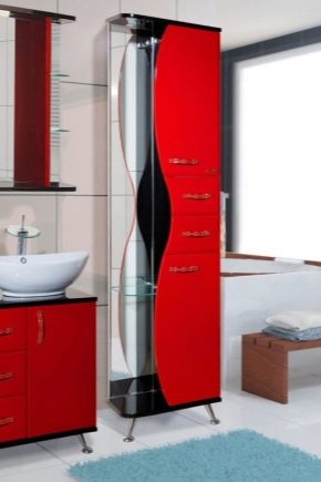  Floor cabinets in the bathroom: views and tips for choosing