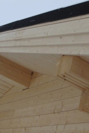  Het indienen van dakoverhangen: de details van het proces
