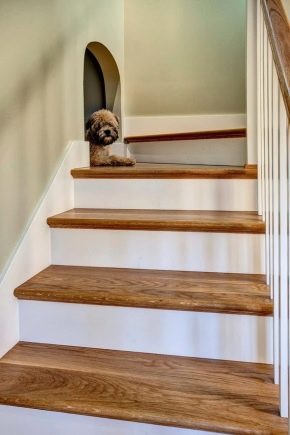  Treppen für die Treppe: die Größe und Installationsmethoden