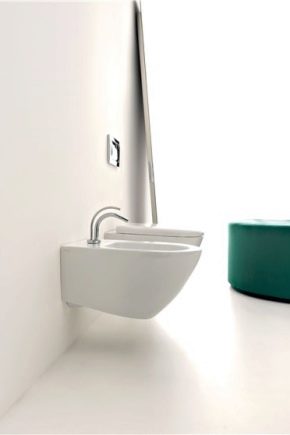  Hængende bidet: funktioner og forskellige valgmuligheder