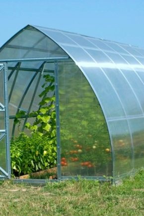  Polycarbonate Greenhouse Sizes: Selection Criteria