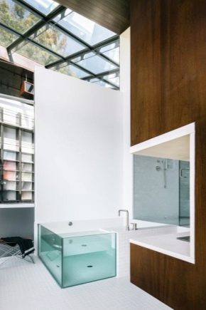  حمامات الزجاج: معايير الاختيار والميزات