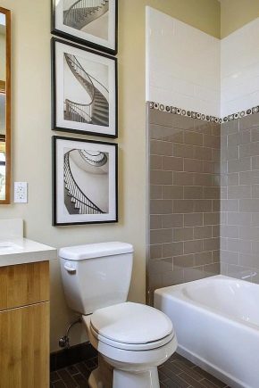  Laying tiles in the bathroom: design ideas