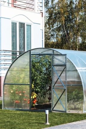  Types and stages of construction of greenhouses