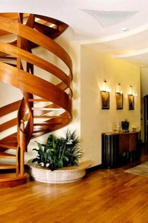  Spiral staircases: mga disenyo, pagpupulong at mga tampok sa pag-install