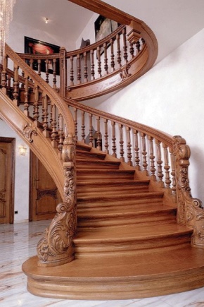  Sự lựa chọn của balusters cho cầu thang trong nhà: tính năng và giống