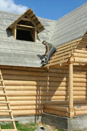  Come raccogliere e mettere una casa di tronchi: le sfumature della costruzione di una casa di tronchi e di esperti di punte